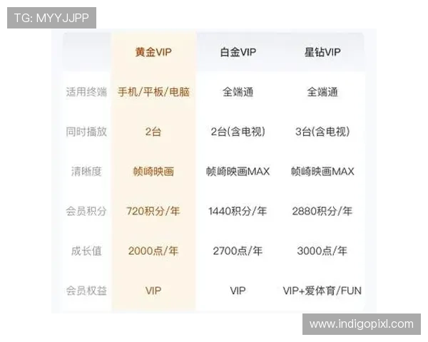 AG会员登录流程详解帮助用户快速顺利进入会员中心